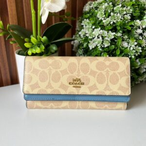 CQA-016 CARTERA COACH